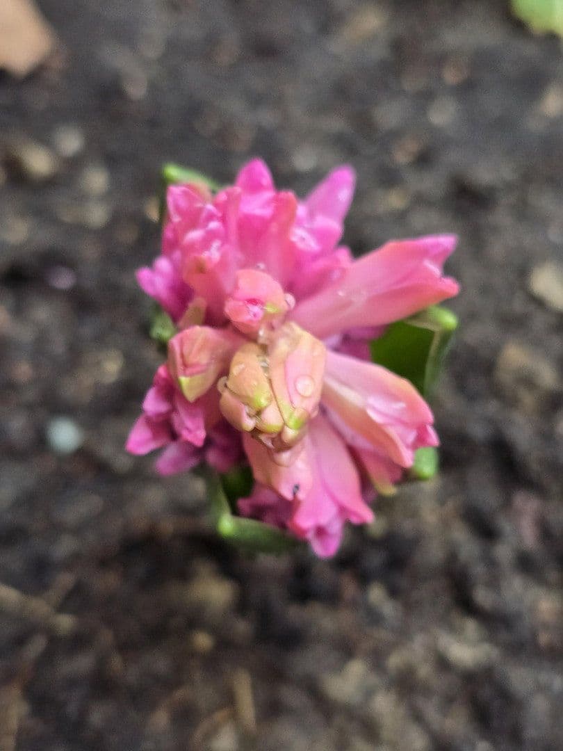 Prenájom bytu 2-izbový 43 m², Rothenburger Str. 55, Nürnberg, Bavorsko Prenájom bytu 2-izbový 43 m², Rothenburger Str. 55, Nürnberg, Bavorsko