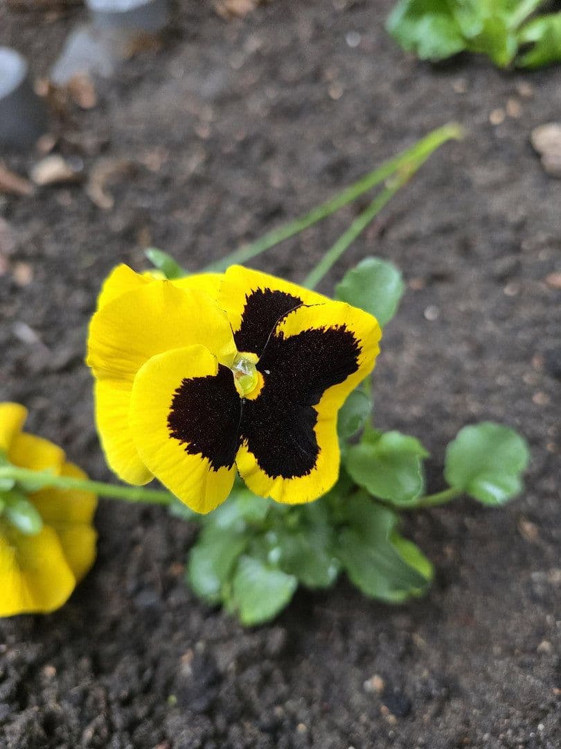 Prenájom bytu 2-izbový 43 m², Rothenburger Str. 55, Nürnberg, Bavorsko Prenájom bytu 2-izbový 43 m², Rothenburger Str. 55, Nürnberg, Bavorsko