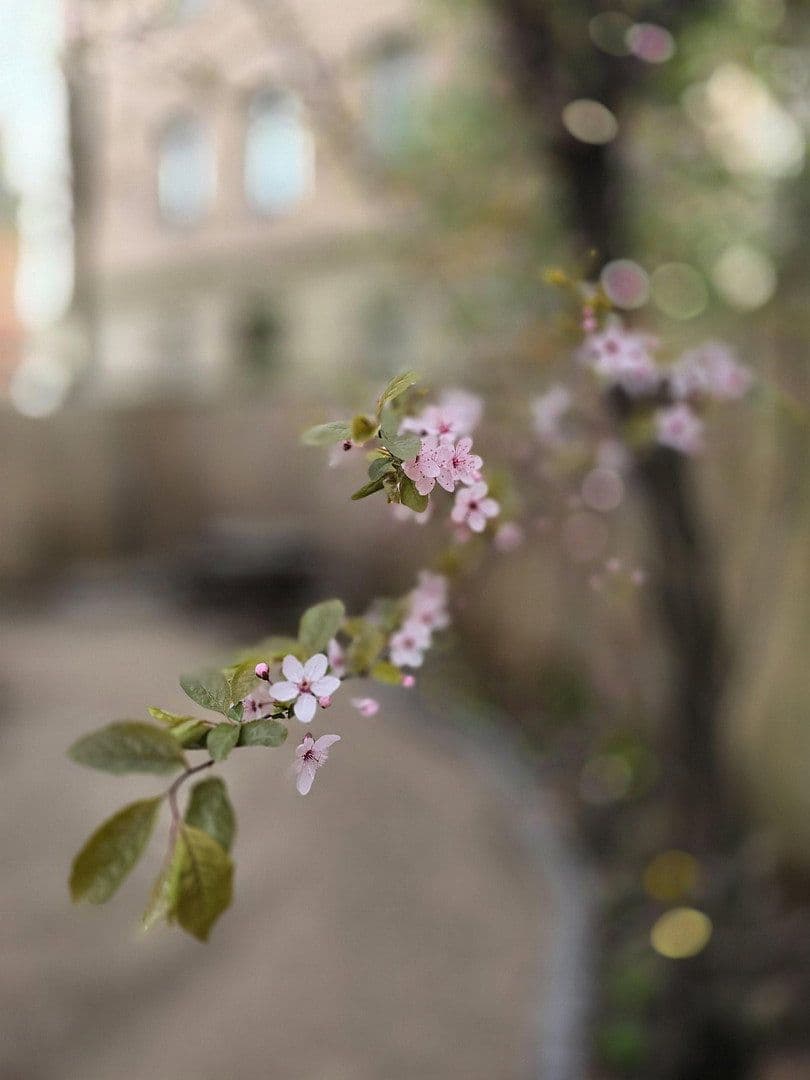 Prenájom bytu 2-izbový 43 m², Rothenburger Str. 55, Nürnberg, Bavorsko Prenájom bytu 2-izbový 43 m², Rothenburger Str. 55, Nürnberg, Bavorsko