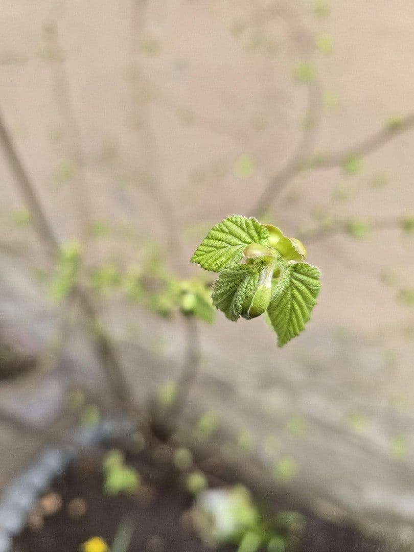 Prenájom bytu 2-izbový 43 m², Rothenburger Str. 55, Nürnberg, Bavorsko Prenájom bytu 2-izbový 43 m², Rothenburger Str. 55, Nürnberg, Bavorsko