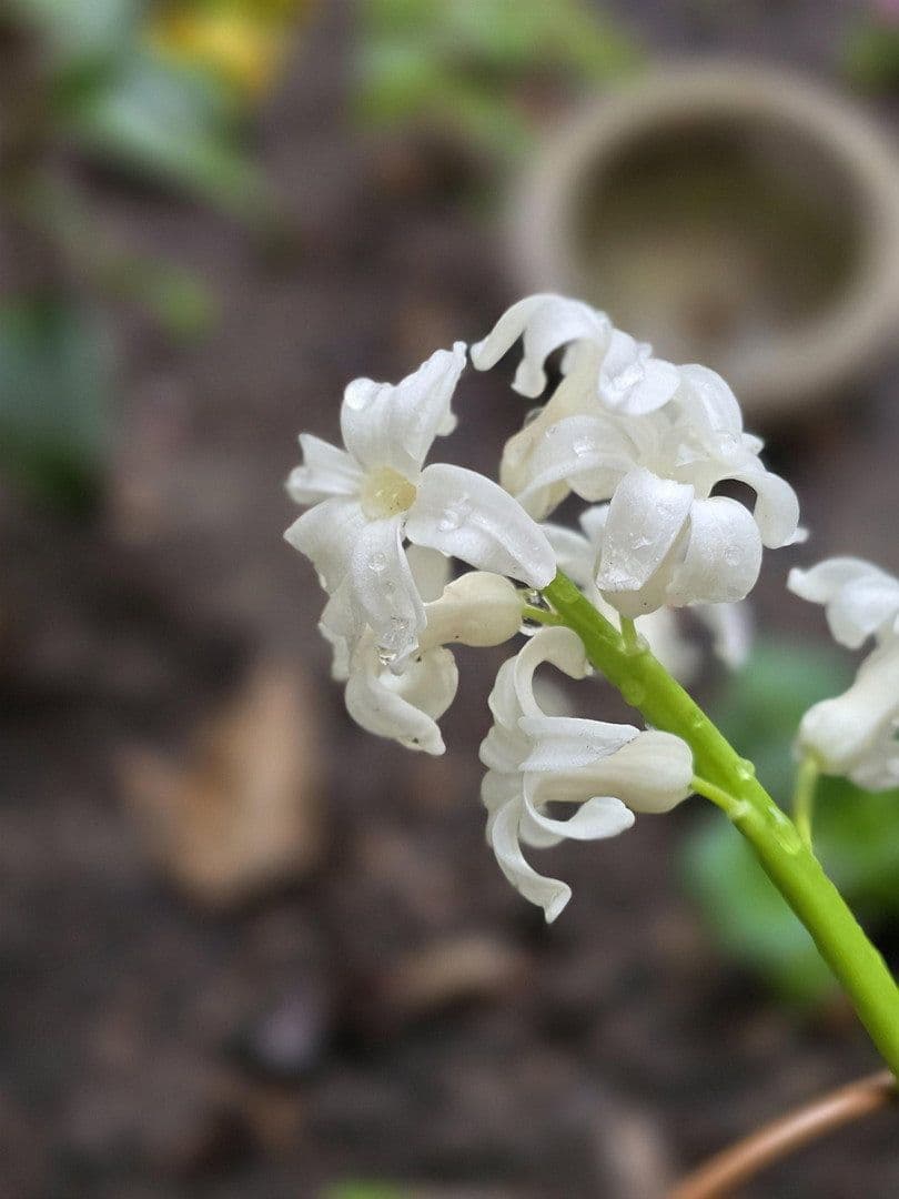 Prenájom bytu 2-izbový 43 m², Rothenburger Str. 55, Nürnberg, Bavorsko Prenájom bytu 2-izbový 43 m², Rothenburger Str. 55, Nürnberg, Bavorsko