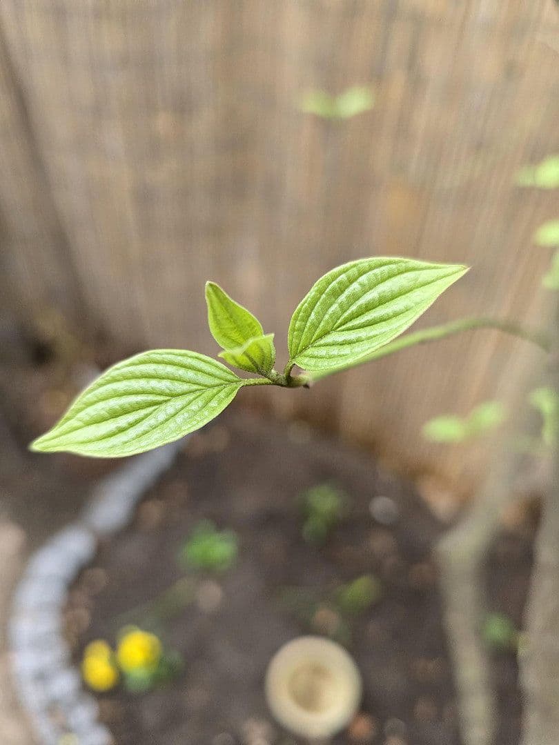 Prenájom bytu 2-izbový 43 m², Rothenburger Str. 55, Nürnberg, Bavorsko Prenájom bytu 2-izbový 43 m², Rothenburger Str. 55, Nürnberg, Bavorsko