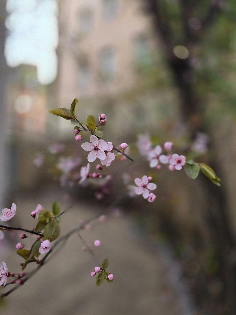 Prenájom bytu 2-izbový 43 m², Rothenburger Str. 55, Nürnberg, Bavorsko Prenájom bytu 2-izbový 43 m², Rothenburger Str. 55, Nürnberg, Bavorsko