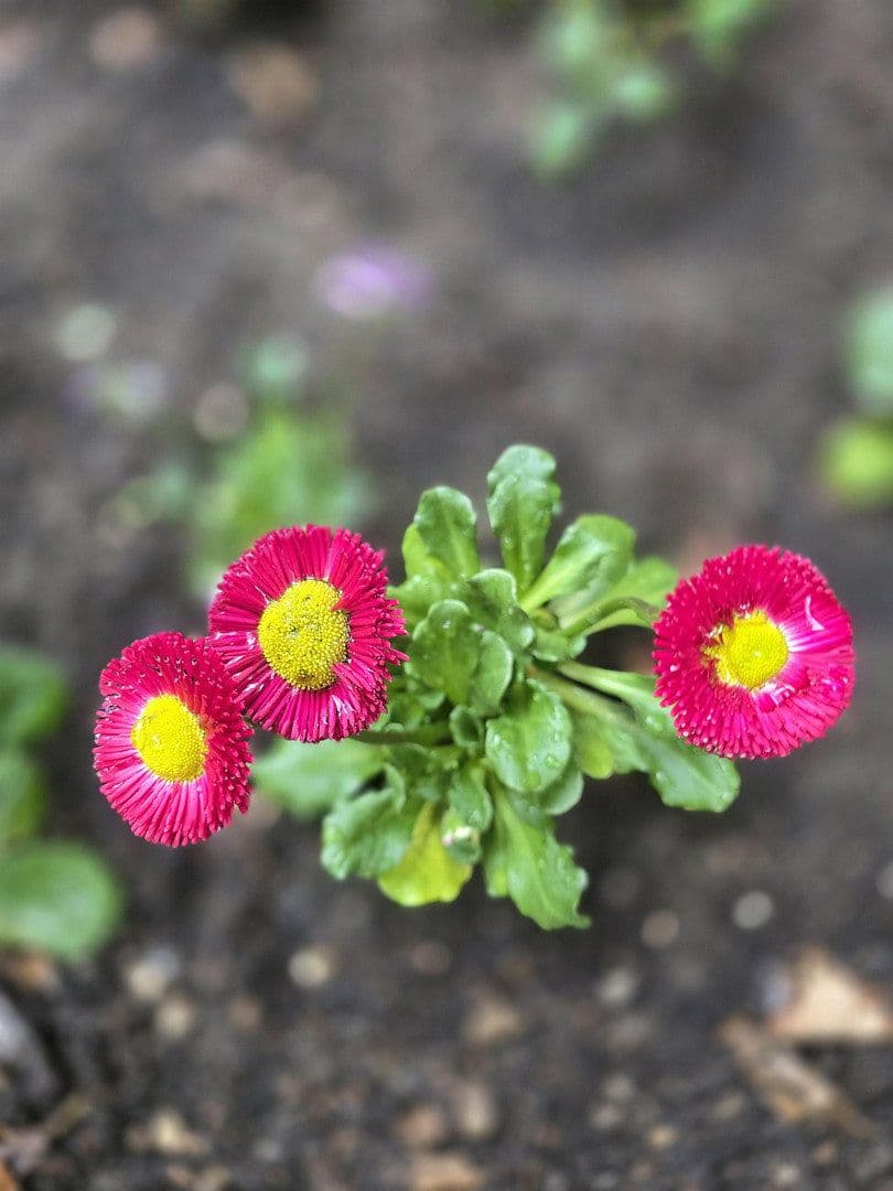 Prenájom bytu 2-izbový 43 m², Rothenburger Str. 55, Nürnberg, Bavorsko Prenájom bytu 2-izbový 43 m², Rothenburger Str. 55, Nürnberg, Bavorsko