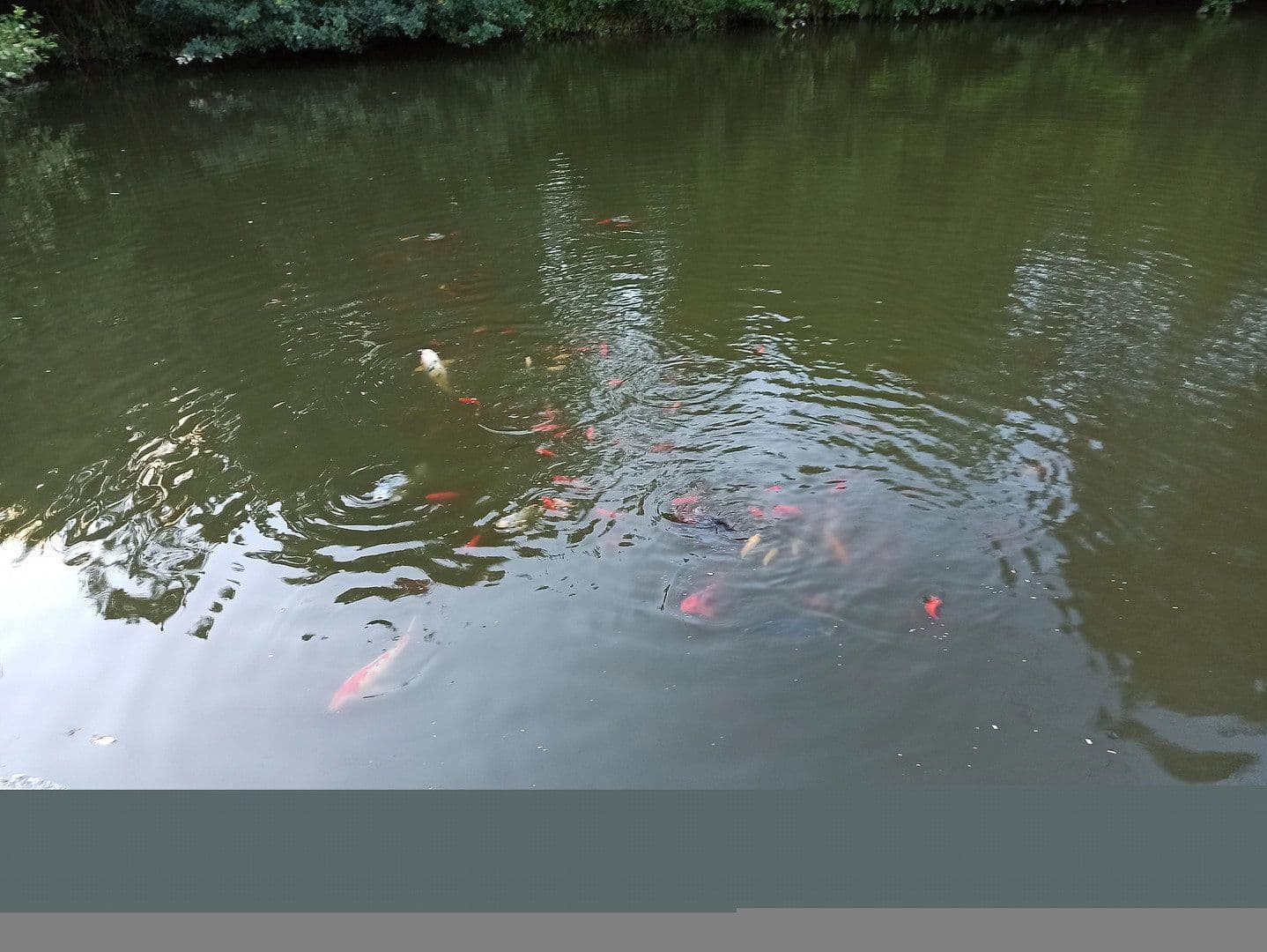 Predaj domu 500 m², pozemek 7.000 m², Altenkirchen (Westerwald), Porýnie-Falcko Predaj domu 500 m², pozemek 7.000 m², Altenkirchen (Westerwald), Porýnie-Falcko