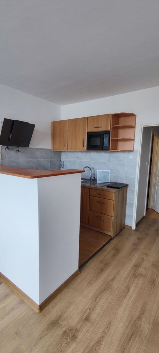 Prenájom bytu Garsoniéra 27 m², Rozcestí, Ústí nad Labem, Ústecký kraj Prenájom bytu Garsoniéra 27 m², Rozcestí, Ústí nad Labem, Ústecký kraj