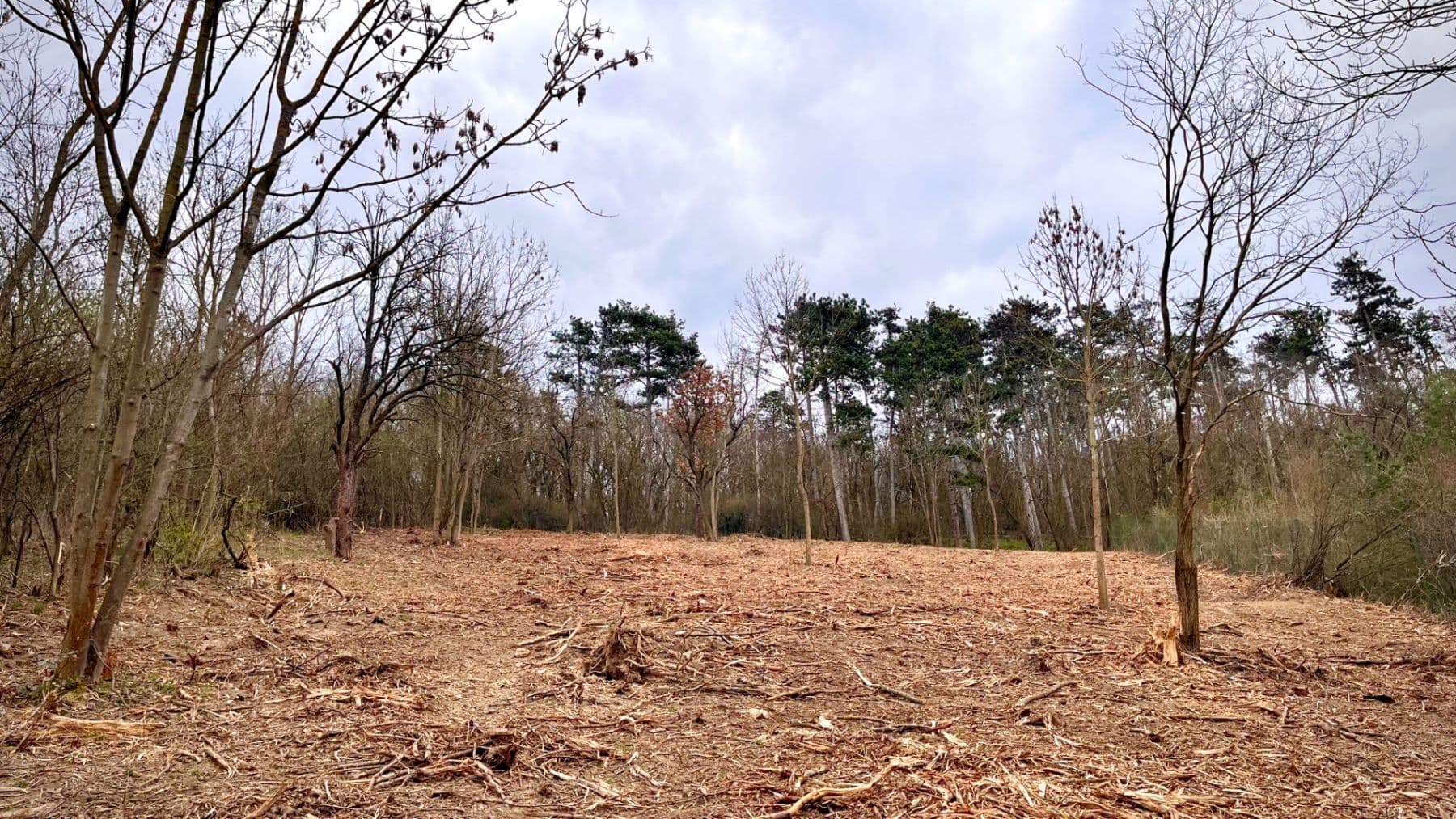 Predaj pozemku 511 m², Chodouň, Středočeský kraj Predaj pozemku 511 m², Chodouň, Středočeský kraj