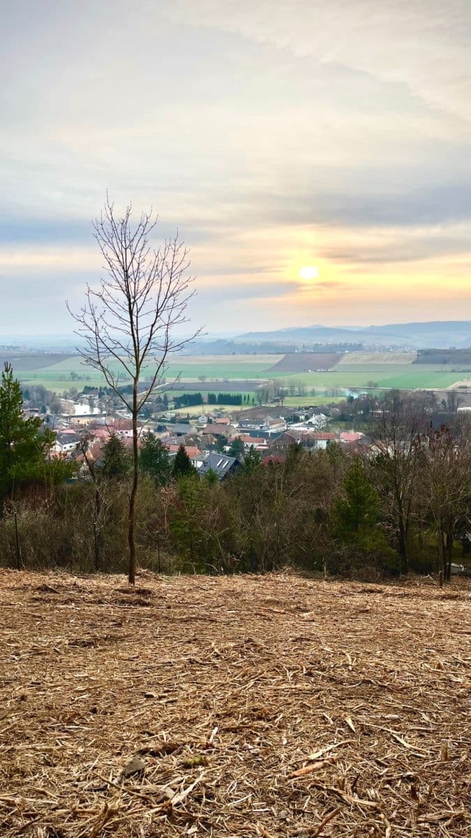 Predaj pozemku 511 m², Chodouň, Středočeský kraj Predaj pozemku 511 m², Chodouň, Středočeský kraj