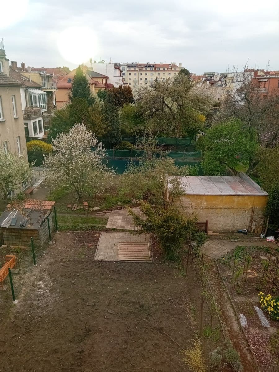 Prenájom bytu 2-izbový 68 m², Zemědělská, Brno, Jihomoravský kraj Prenájom bytu 2-izbový 68 m², Zemědělská, Brno, Jihomoravský kraj