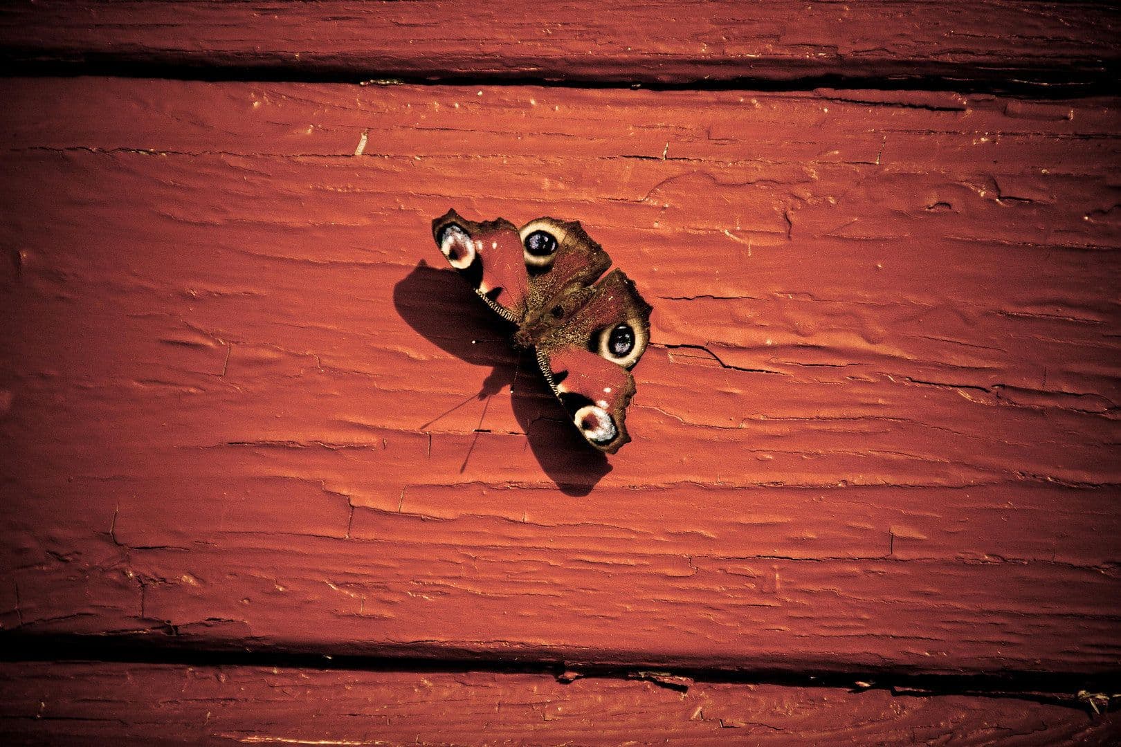 Predaj domu 52 m², pozemek 200 m², Goldberg, Meklenbursko-Predpomoransko Predaj domu 52 m², pozemek 200 m², Goldberg, Meklenbursko-Predpomoransko