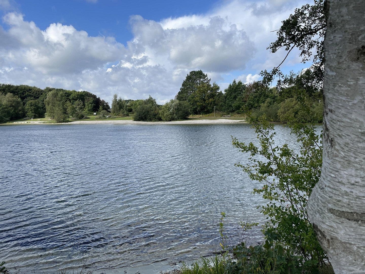 Prenájom bytu 5-izbový 120 m², Hauptstraße 50a, Hage, Dolné Sasko Prenájom bytu 5-izbový 120 m², Hauptstraße 50a, Hage, Dolné Sasko