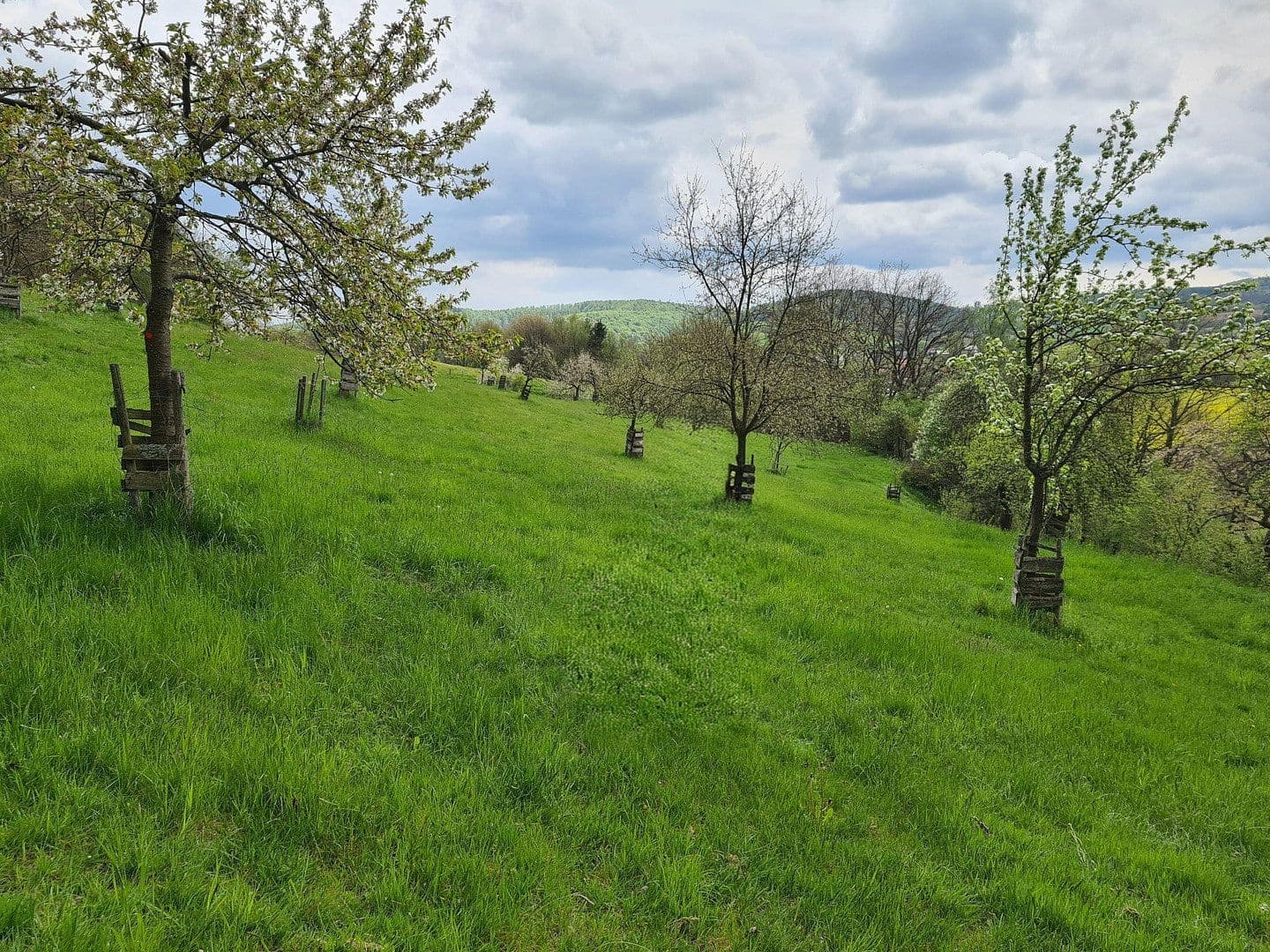 Predaj domu 590 m², pozemek 190.000 m², Liedemühle 1, Neuenstein, Hesensko Predaj domu 590 m², pozemek 190.000 m², Liedemühle 1, Neuenstein, Hesensko