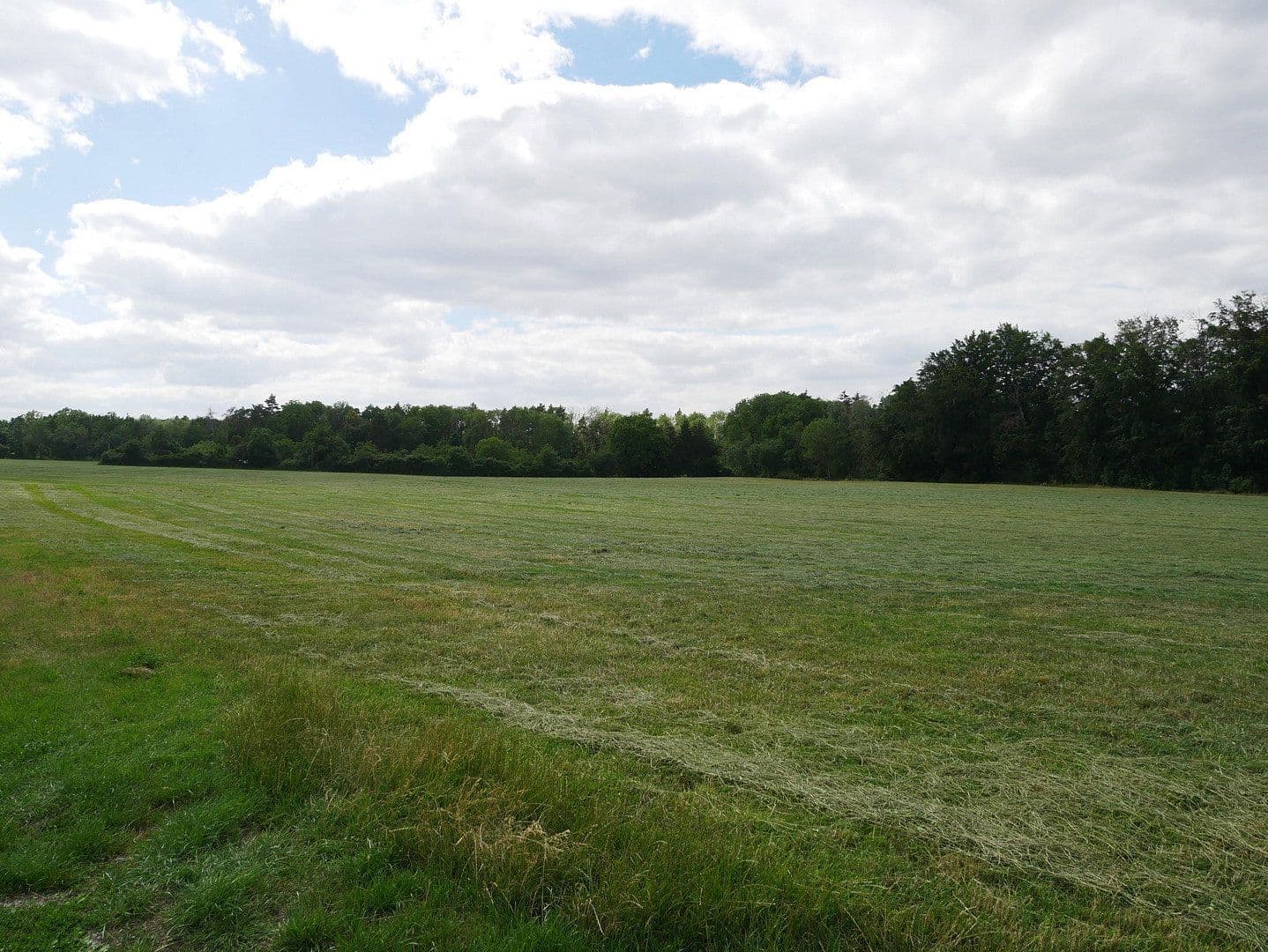 Prenájom bytu 2-izbový 58 m², Auf der Höhe 15, Jena-Remderoda, Durínsko Prenájom bytu 2-izbový 58 m², Auf der Höhe 15, Jena-Remderoda, Durínsko