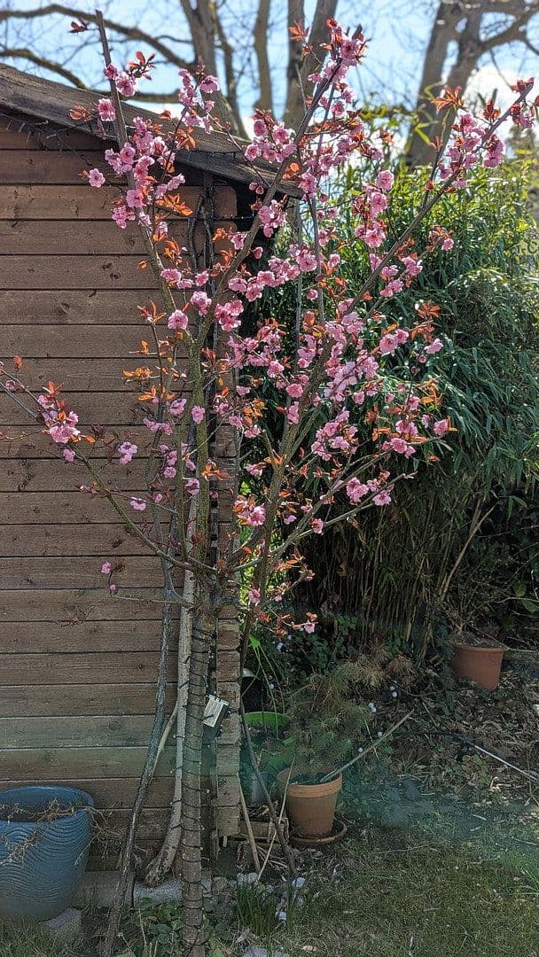 Predaj domu 127 m², pozemek 250 m², Hamburg, Hamburg Predaj domu 127 m², pozemek 250 m², Hamburg, Hamburg