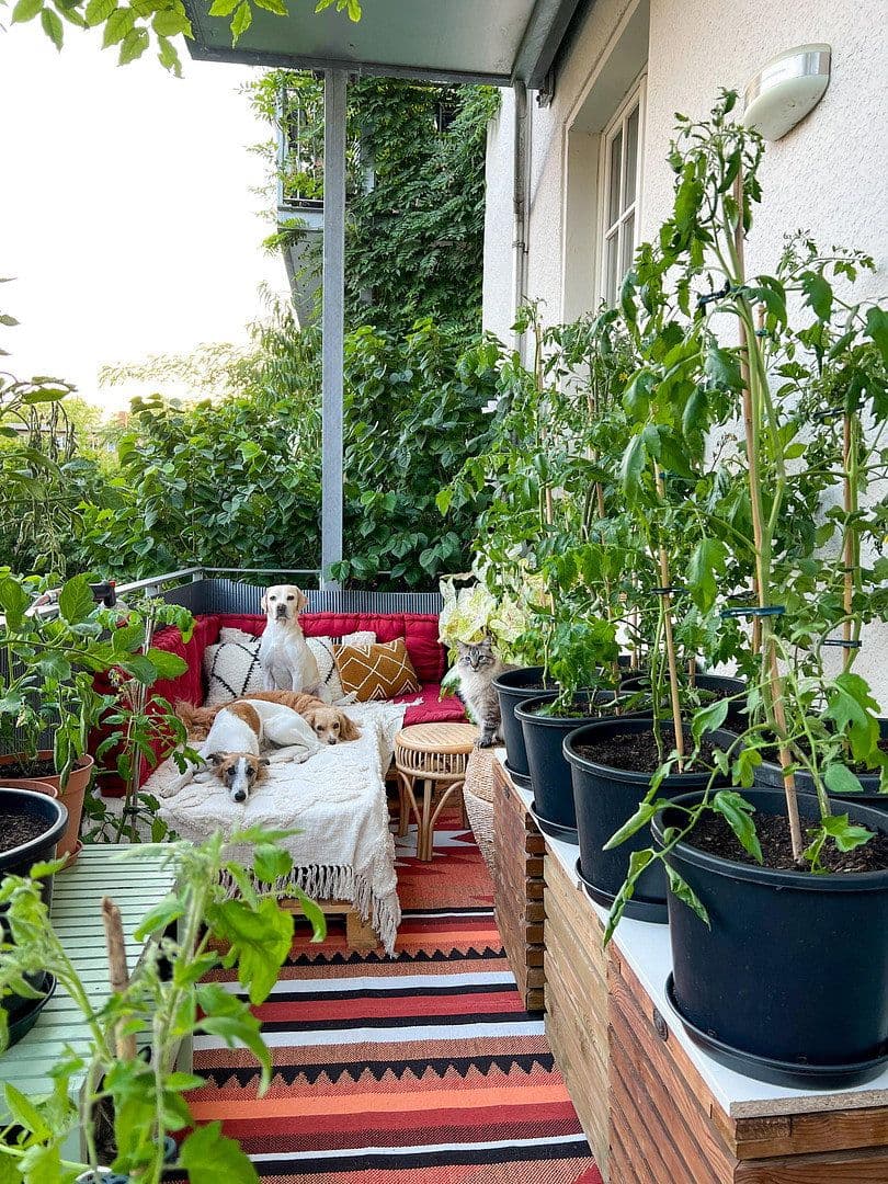 Predaj bytu 4-izbový 110 m², Hohenzollernring 18c, Berlin, Berlín Predaj bytu 4-izbový 110 m², Hohenzollernring 18c, Berlin, Berlín