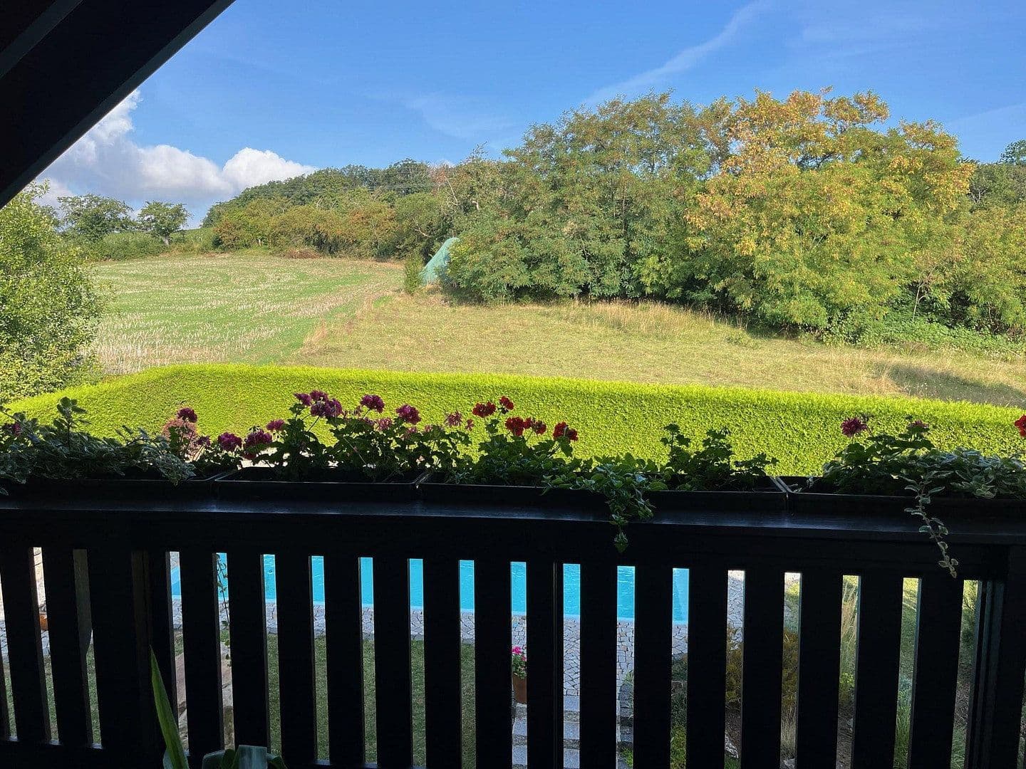 Predaj domu 206 m², pozemek 811 m², zur Heide 53, Naumburg (Saale), Sasko-Anhaltsko Predaj domu 206 m², pozemek 811 m², zur Heide 53, Naumburg (Saale), Sasko-Anhaltsko