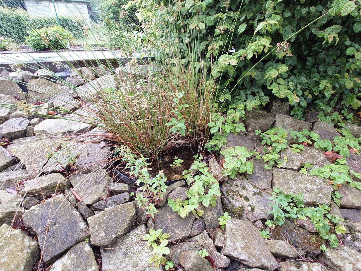 Prenájom bytu 2-izbový 55 m², Minden, Severné Porýnie - Westfálsko Prenájom bytu 2-izbový 55 m², Minden, Severné Porýnie - Westfálsko