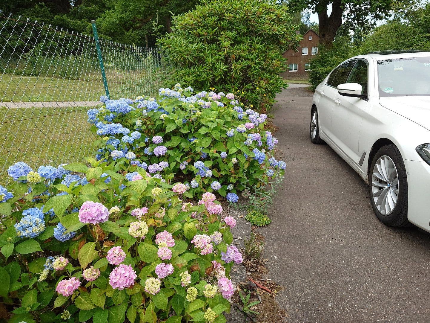 Prenájom bytu 2-izbový 55 m², Minden, Severné Porýnie - Westfálsko Prenájom bytu 2-izbový 55 m², Minden, Severné Porýnie - Westfálsko