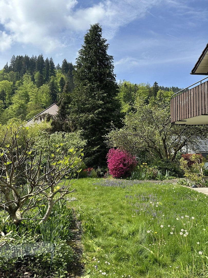 Predaj domu 356 m², pozemek 857 m², Freiburg, Bádensko-Wurttembersko Predaj domu 356 m², pozemek 857 m², Freiburg, Bádensko-Wurttembersko