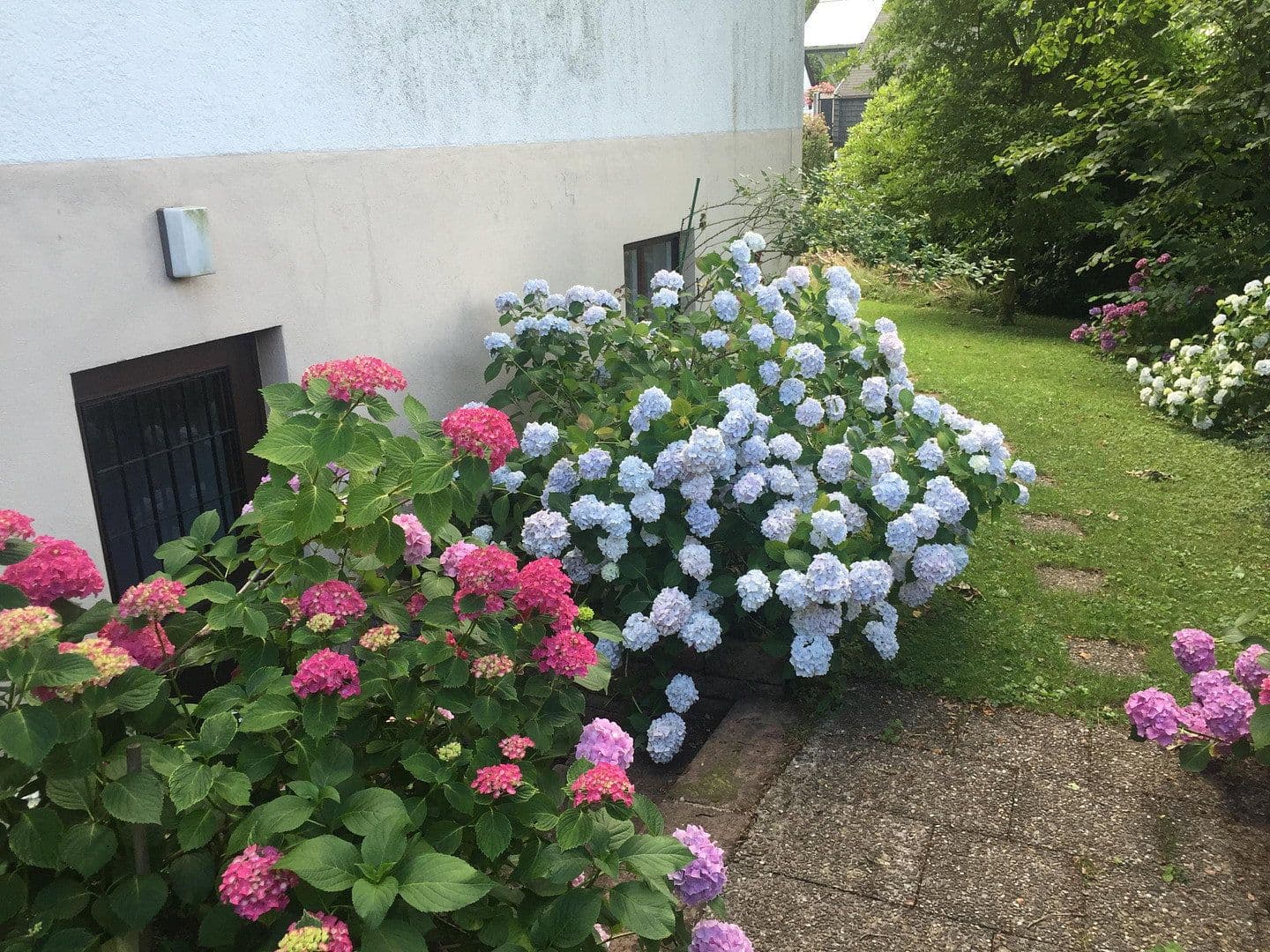 Predaj domu 356 m², pozemek 857 m², Freiburg, Bádensko-Wurttembersko Predaj domu 356 m², pozemek 857 m², Freiburg, Bádensko-Wurttembersko