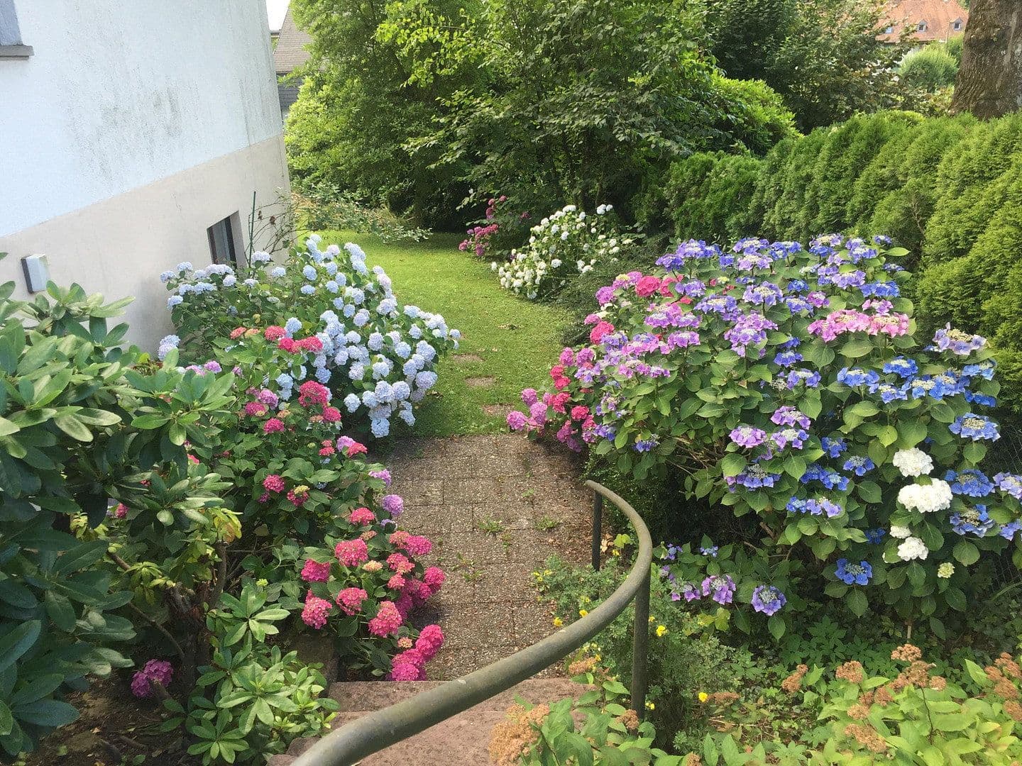 Predaj domu 356 m², pozemek 857 m², Freiburg, Bádensko-Wurttembersko Predaj domu 356 m², pozemek 857 m², Freiburg, Bádensko-Wurttembersko