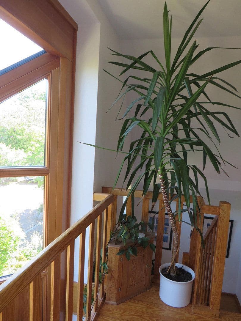 Predaj domu 170 m², pozemek 596 m², Hamburg, Hamburg Predaj domu 170 m², pozemek 596 m², Hamburg, Hamburg