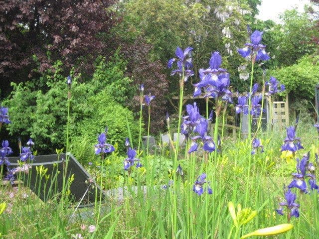 Predaj domu 170 m², pozemek 596 m², Hamburg, Hamburg Predaj domu 170 m², pozemek 596 m², Hamburg, Hamburg