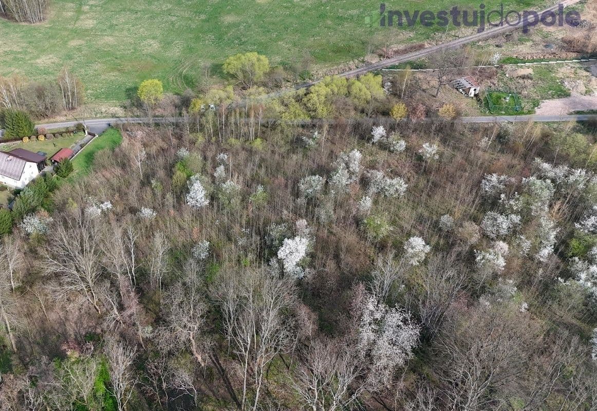 Predaj pozemku 8.600 m², Děčín, Ústecký kraj Predaj pozemku 8.600 m², Děčín, Ústecký kraj