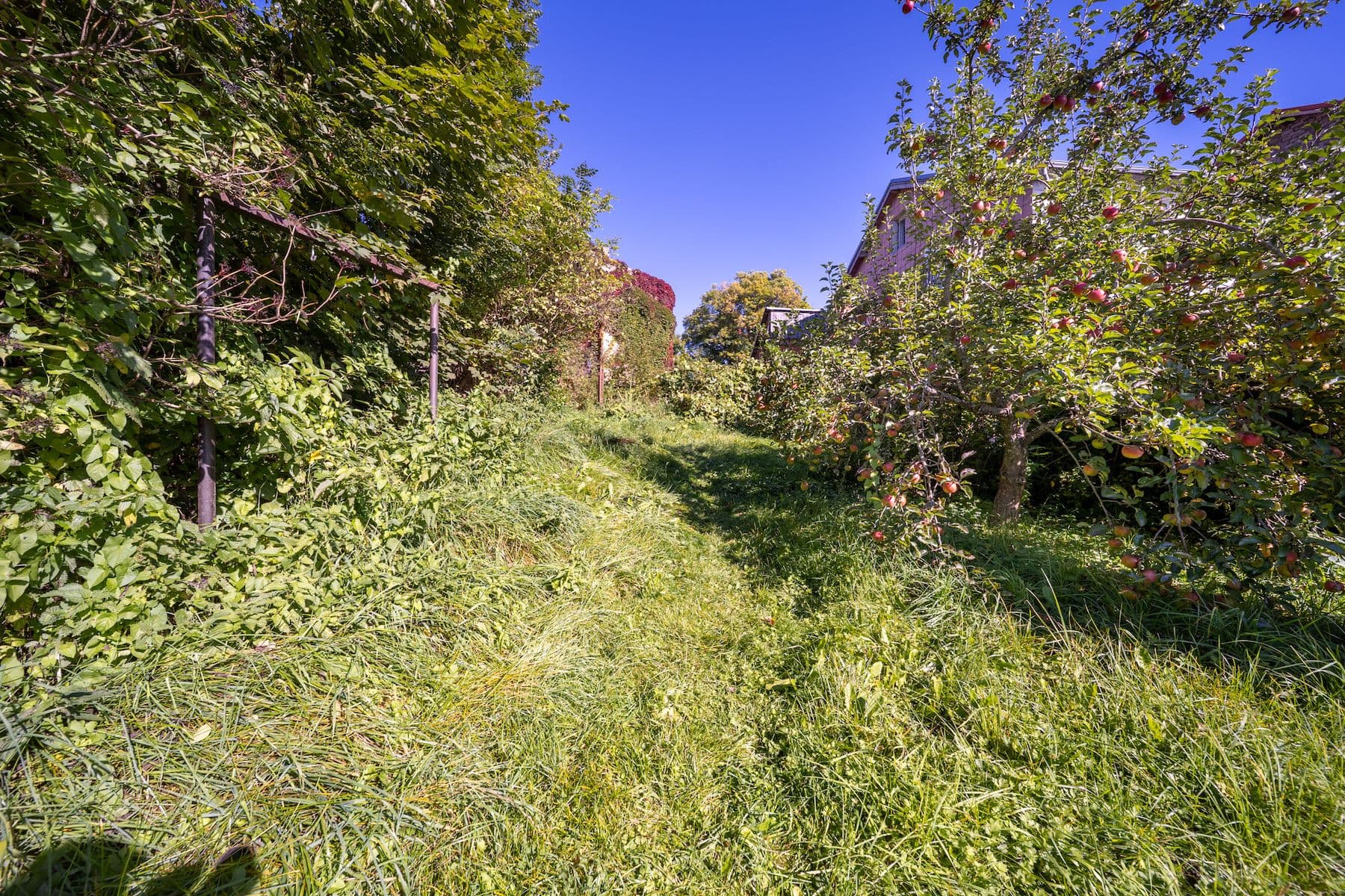 Predaj rekreačného objektu 150 m², pozemek 572 m², Černá v Pošumaví, Jihočeský kraj Predaj rekreačného objektu 150 m², pozemek 572 m², Černá v Pošumaví, Jihočeský kraj