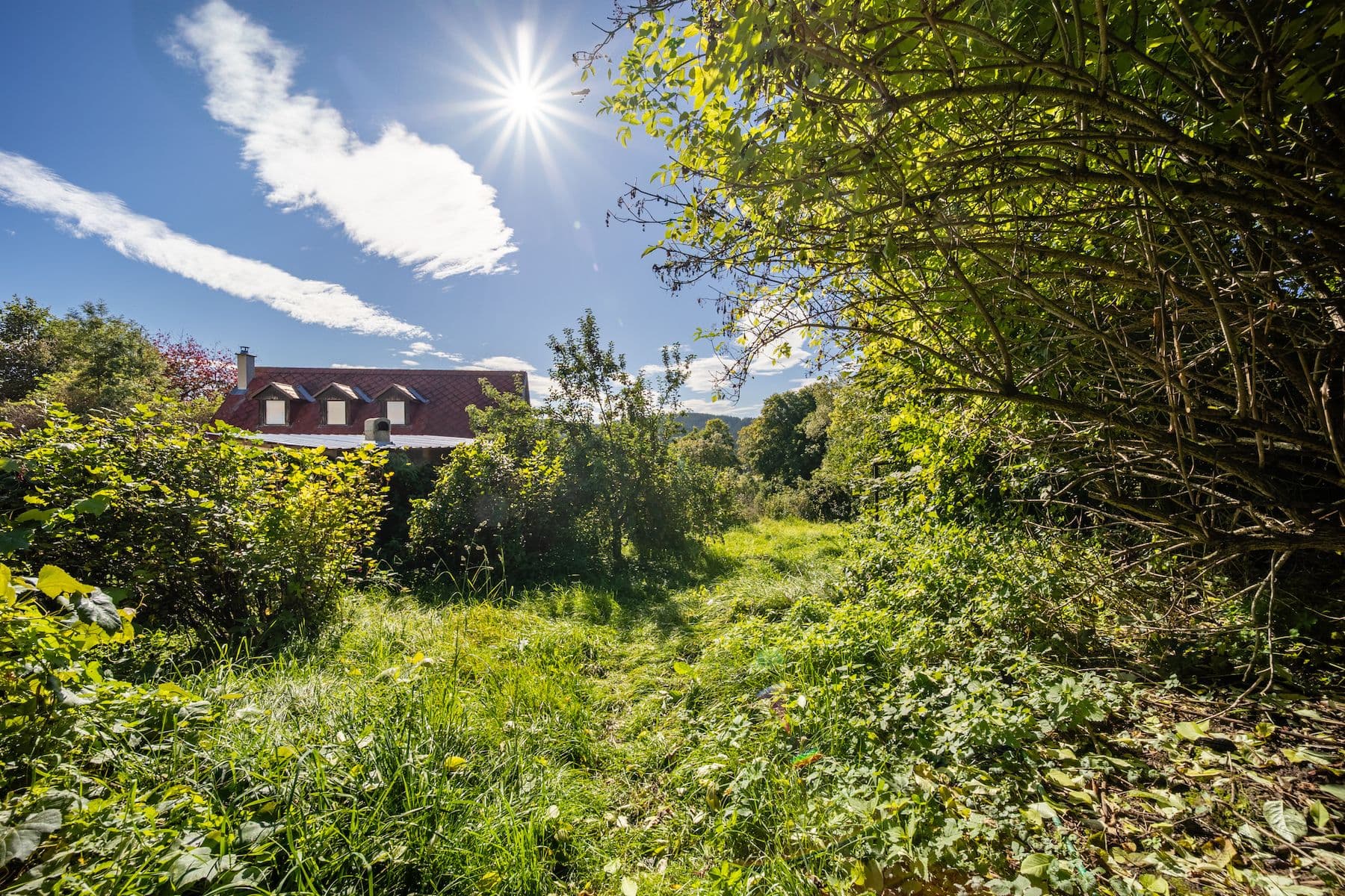 Predaj rekreačného objektu 150 m², pozemek 572 m², Černá v Pošumaví, Jihočeský kraj Predaj rekreačného objektu 150 m², pozemek 572 m², Černá v Pošumaví, Jihočeský kraj
