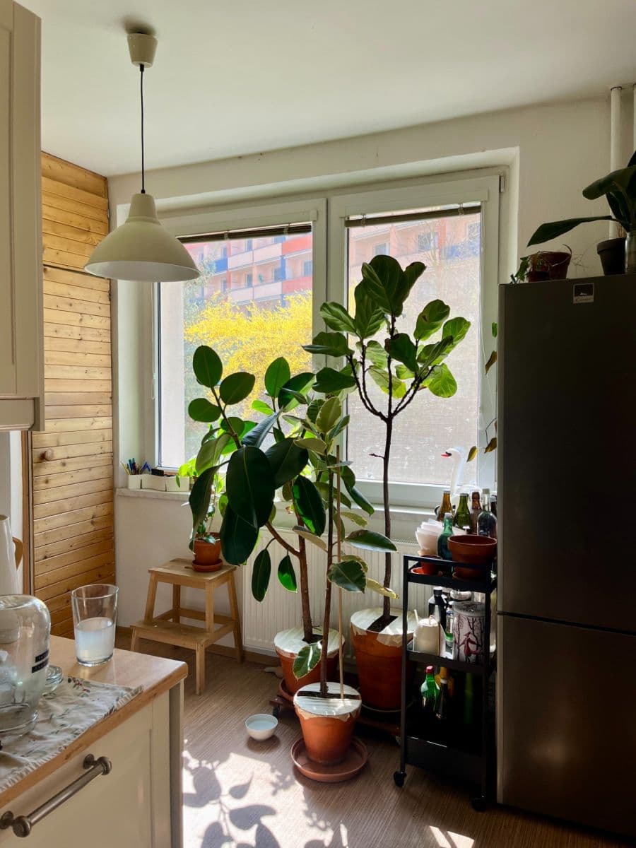 Prenájom bytu 2-izbový 62 m², Foltýnova, Brno, Jihomoravský kraj Prenájom bytu 2-izbový 62 m², Foltýnova, Brno, Jihomoravský kraj