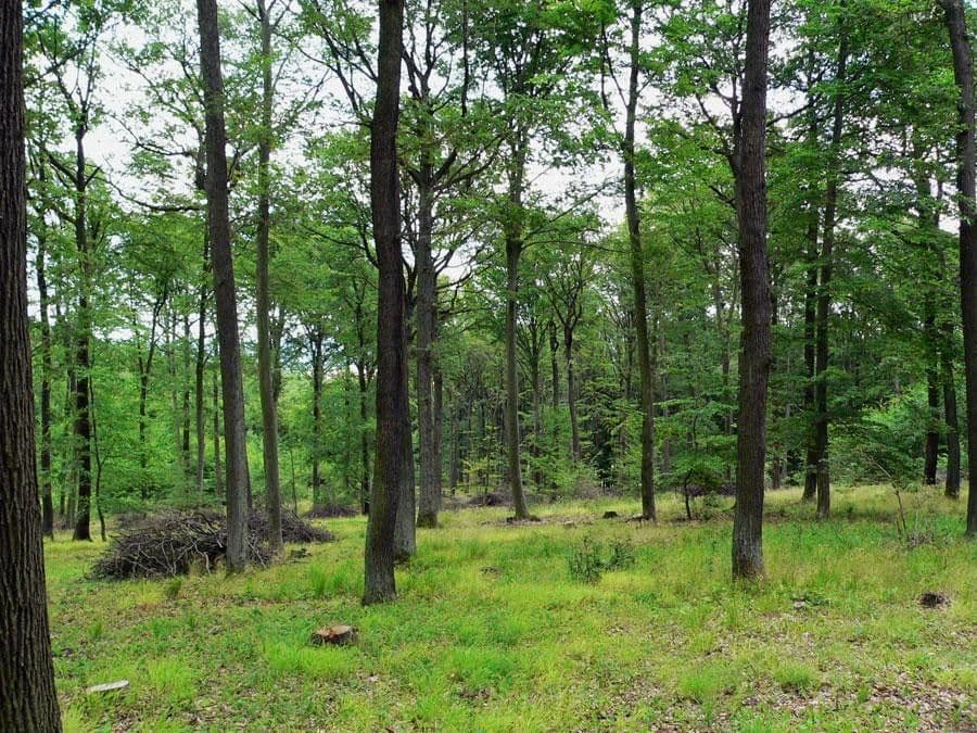 Predaj pozemku 908 m², Hvozdec, Jihomoravský kraj Predaj pozemku 908 m², Hvozdec, Jihomoravský kraj