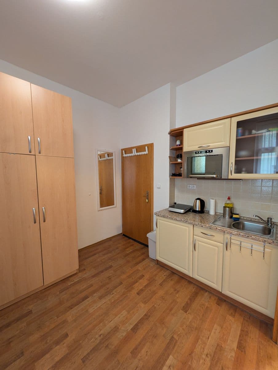 Prenájom bytu 16 m², Lublaňská, Praha, Praha Prenájom bytu 16 m², Lublaňská, Praha, Praha