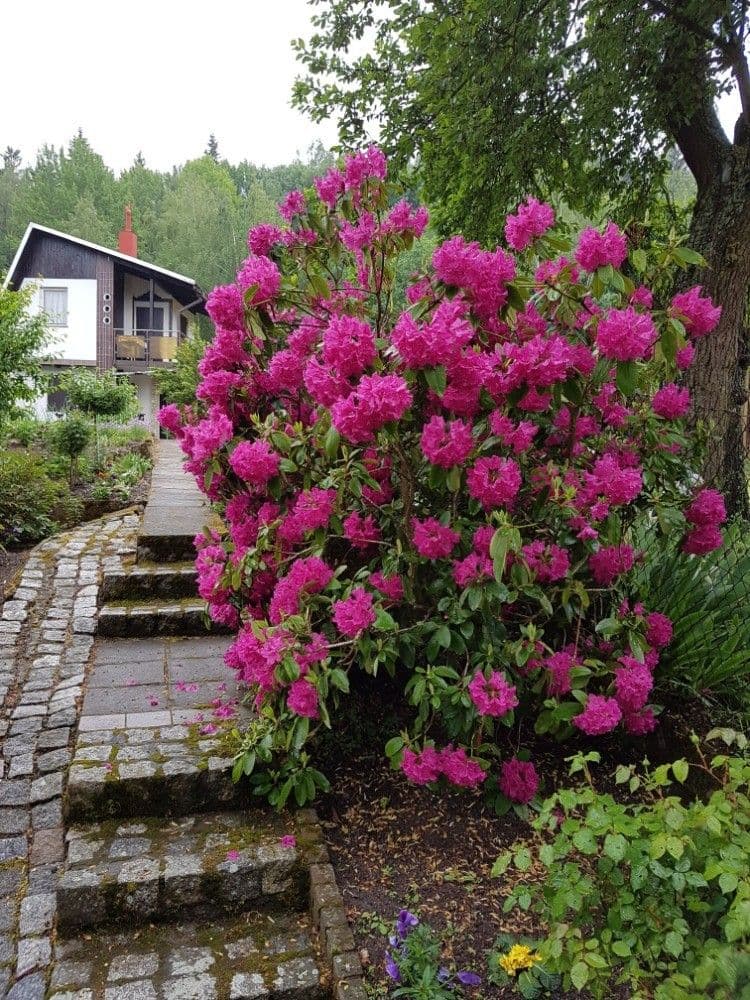 Predaj rekreačného objektu 40 m², pozemek 357 m², Karlovy Vary, Karlovarský kraj Predaj rekreačného objektu 40 m², pozemek 357 m², Karlovy Vary, Karlovarský kraj