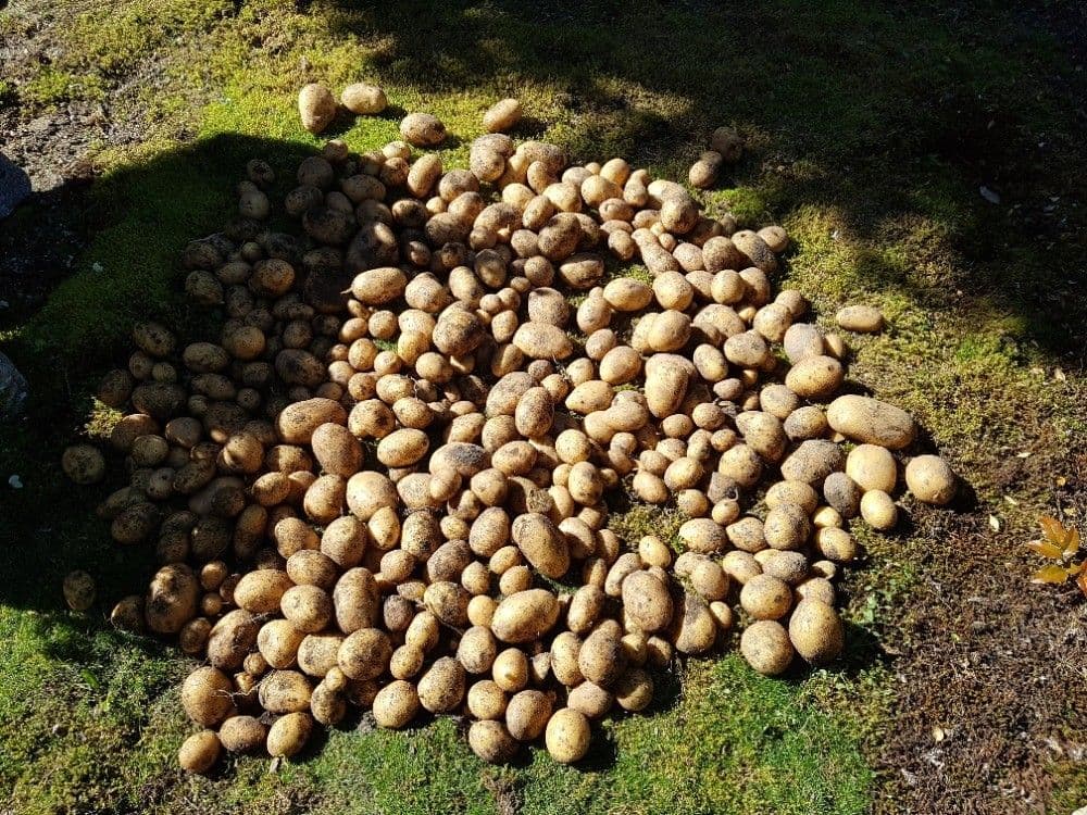 Predaj rekreačného objektu 40 m², pozemek 357 m², Karlovy Vary, Karlovarský kraj Predaj rekreačného objektu 40 m², pozemek 357 m², Karlovy Vary, Karlovarský kraj