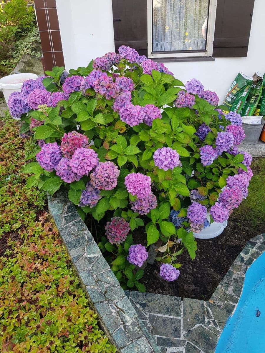 Predaj rekreačného objektu 40 m², pozemek 357 m², Karlovy Vary, Karlovarský kraj Predaj rekreačného objektu 40 m², pozemek 357 m², Karlovy Vary, Karlovarský kraj