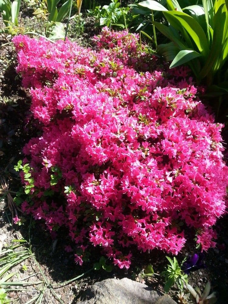 Predaj rekreačného objektu 40 m², pozemek 357 m², Karlovy Vary, Karlovarský kraj Predaj rekreačného objektu 40 m², pozemek 357 m², Karlovy Vary, Karlovarský kraj