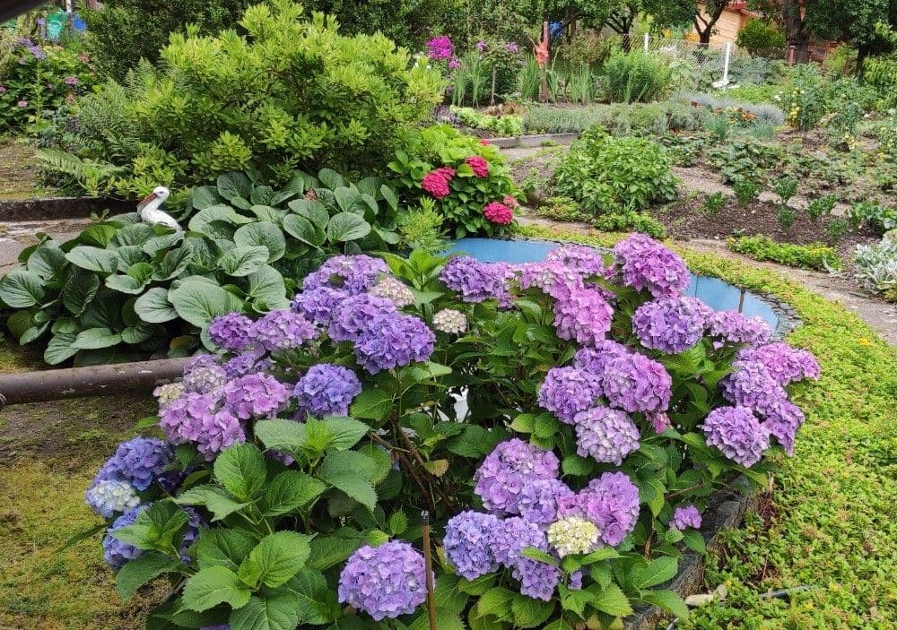 Predaj rekreačného objektu 40 m², pozemek 357 m², Karlovy Vary, Karlovarský kraj Predaj rekreačného objektu 40 m², pozemek 357 m², Karlovy Vary, Karlovarský kraj