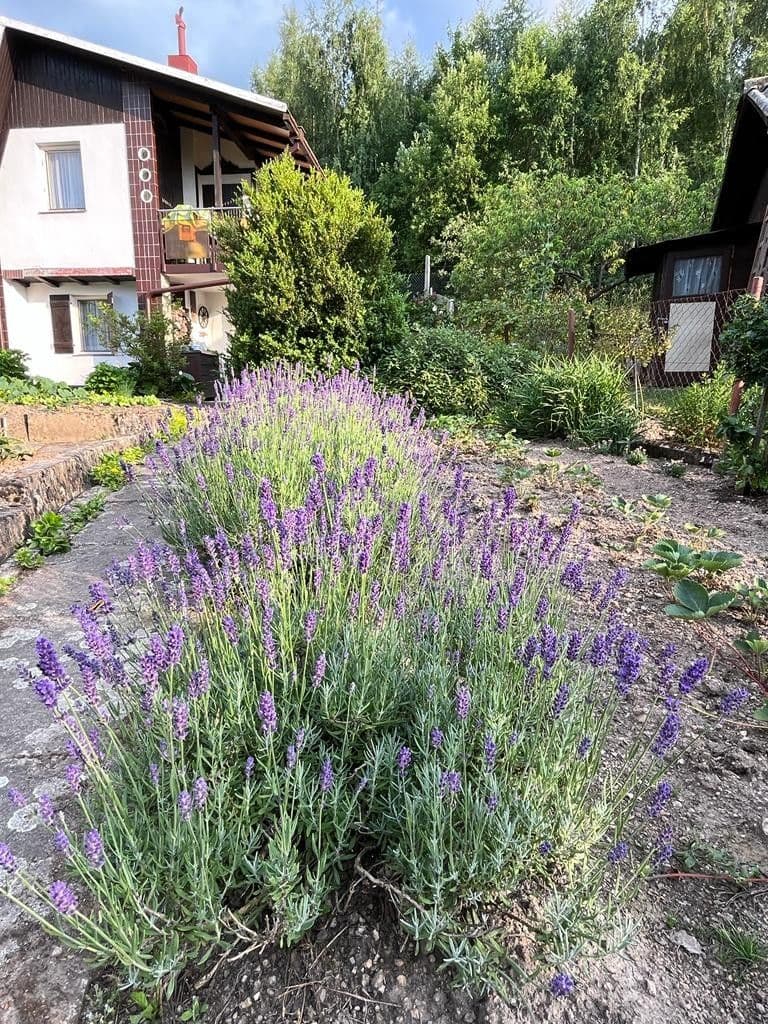 Predaj rekreačného objektu 40 m², pozemek 357 m², Karlovy Vary, Karlovarský kraj Predaj rekreačného objektu 40 m², pozemek 357 m², Karlovy Vary, Karlovarský kraj