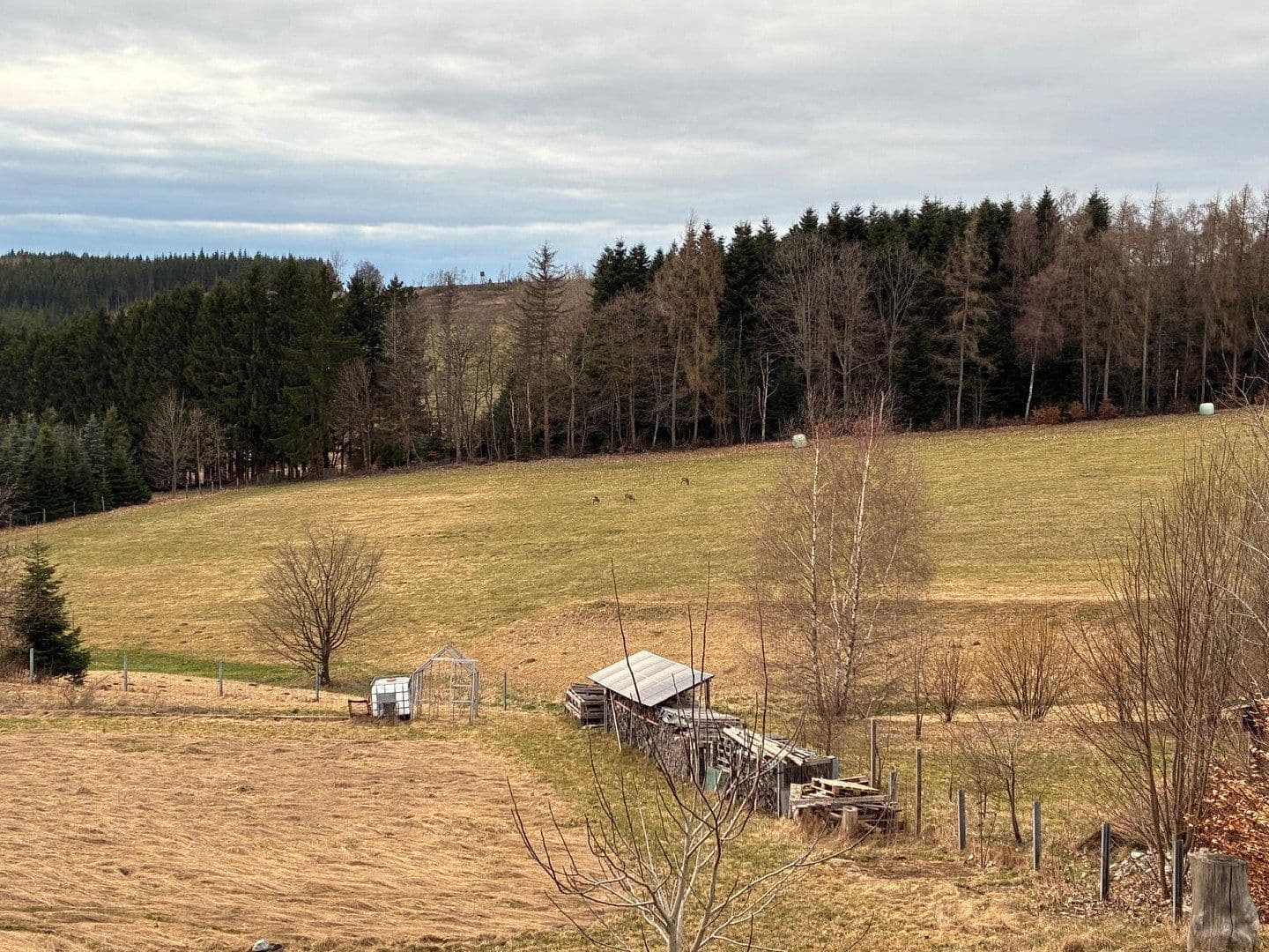 Predaj domu 128 m², pozemek 1.380 m², Helmbrechts, Bavorsko Predaj domu 128 m², pozemek 1.380 m², Helmbrechts, Bavorsko