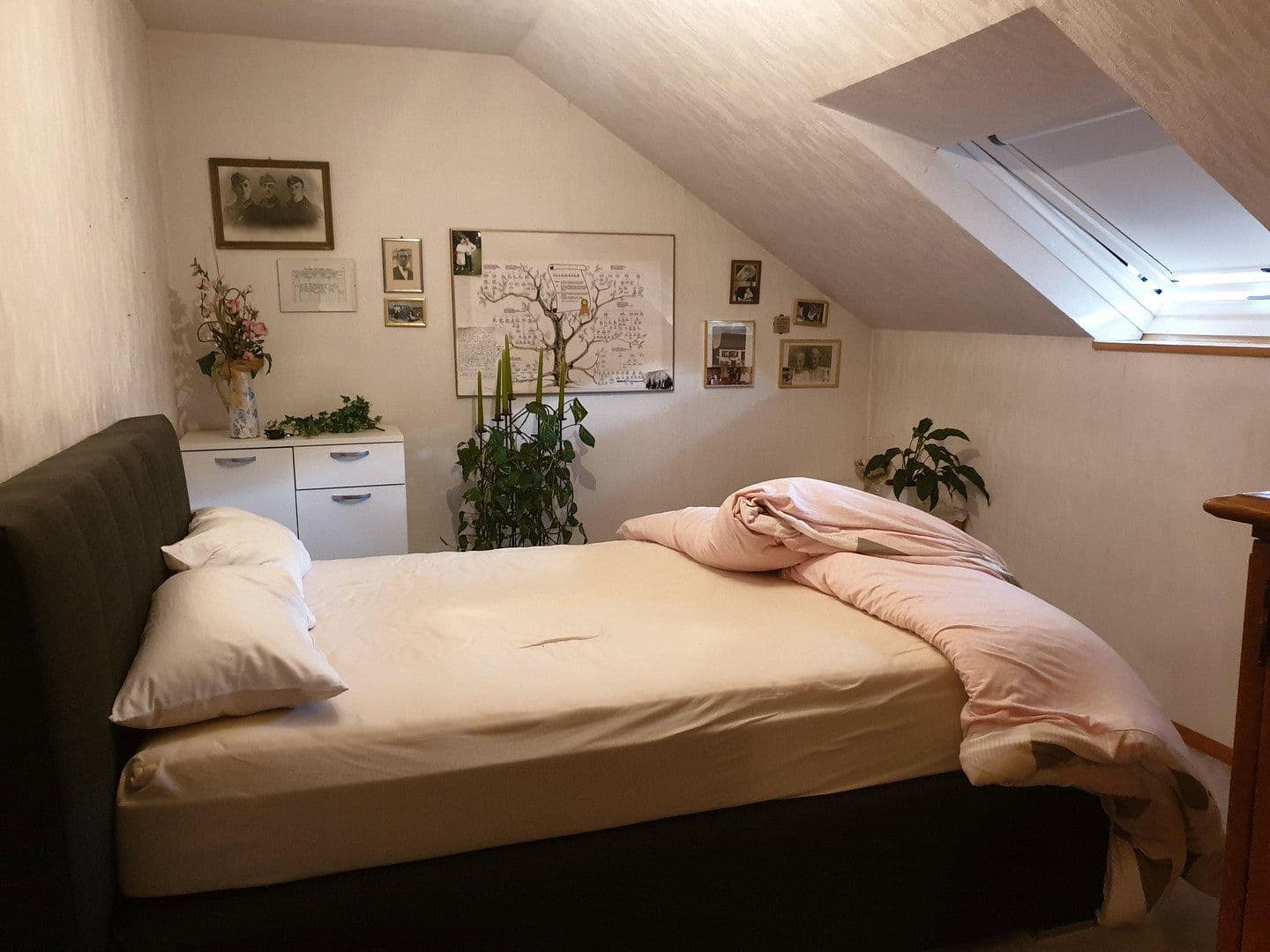 Predaj domu 290 m², pozemek 660 m², Neuhofer Straße 34, Neckargemünd, Bádensko-Wurttembersko Predaj domu 290 m², pozemek 660 m², Neuhofer Straße 34, Neckargemünd, Bádensko-Wurttembersko