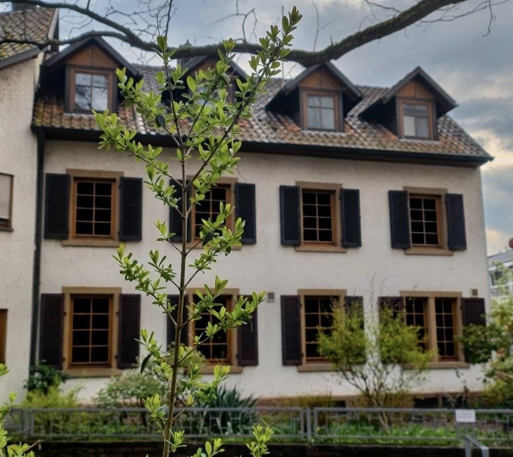 Predaj domu 481 m², pozemek 625 m², Friedenstraße 18, Offenburg, Bádensko-Wurttembersko Predaj domu 481 m², pozemek 625 m², Friedenstraße 18, Offenburg, Bádensko-Wurttembersko