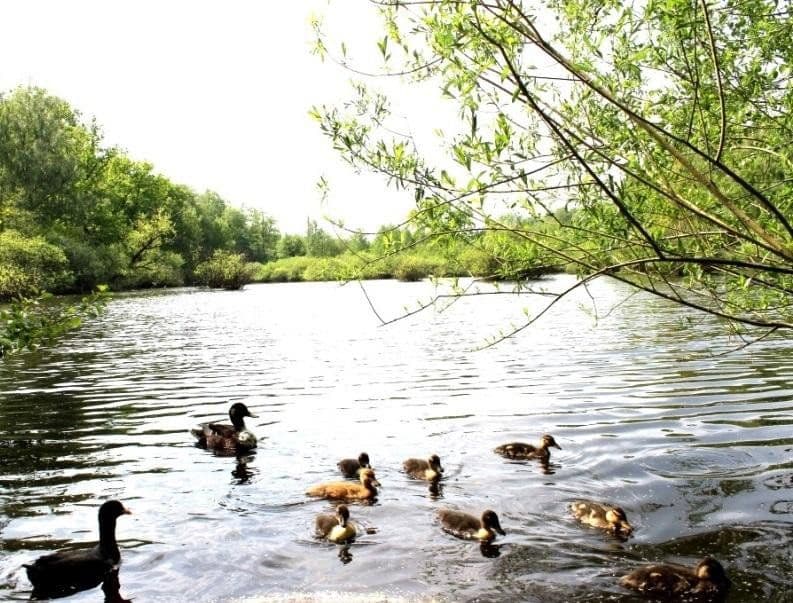 Predaj bytu 4-izbový 67 m², Hamburg, Hamburg Predaj bytu 4-izbový 67 m², Hamburg, Hamburg