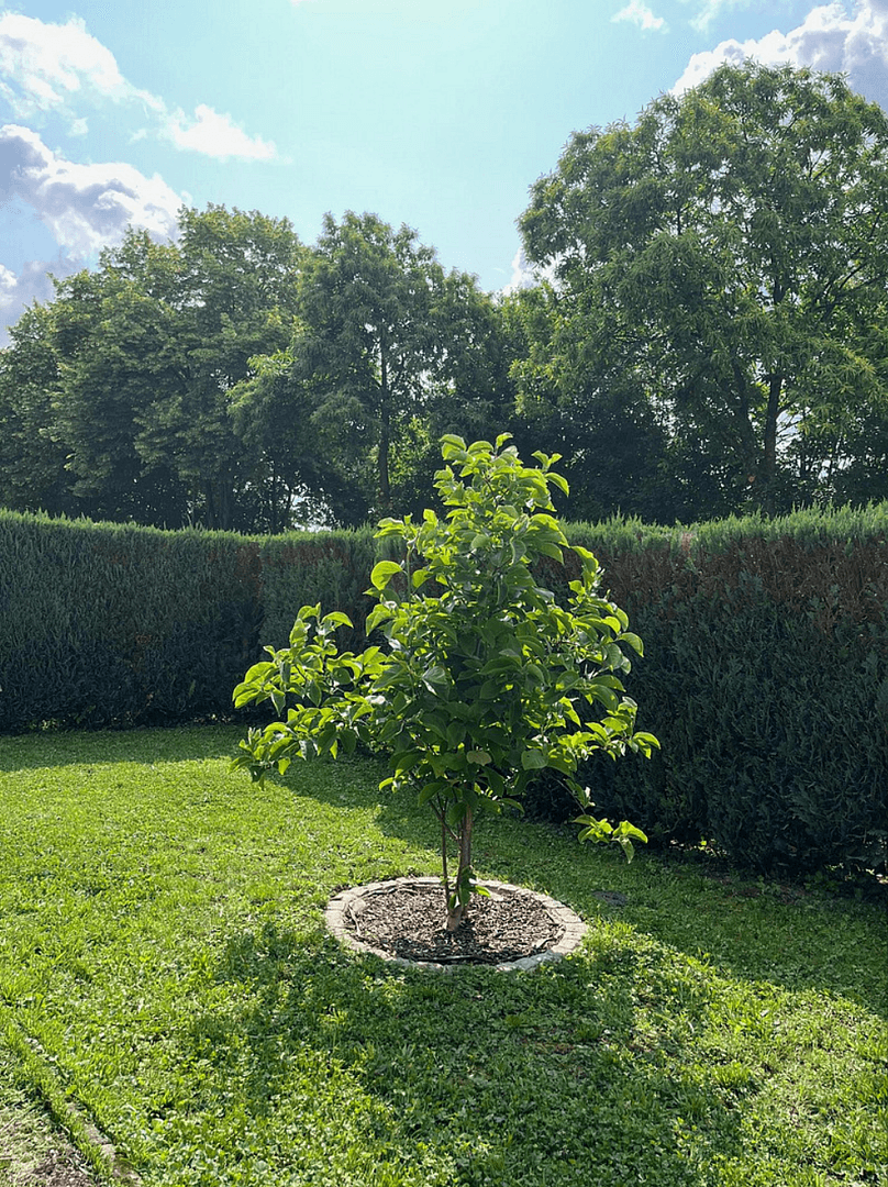 Prenájom bytu 3-izbový 100 m², Mosbach, Bádensko-Wurttembersko Prenájom bytu 3-izbový 100 m², Mosbach, Bádensko-Wurttembersko