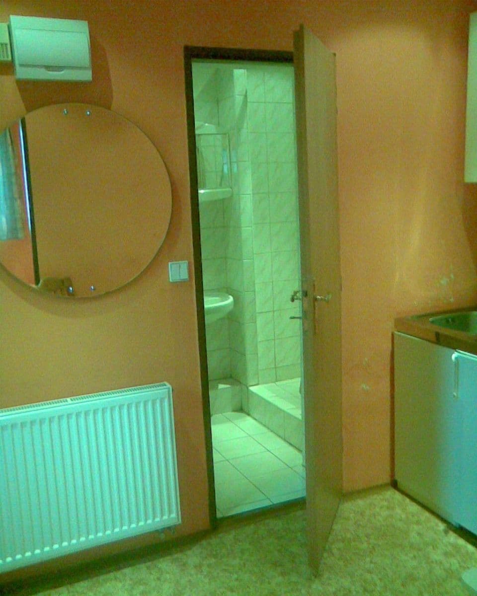 Prenájom bytu 1-izbový 21 m², Sokolovská, Praha, Praha Prenájom bytu 1-izbový 21 m², Sokolovská, Praha, Praha