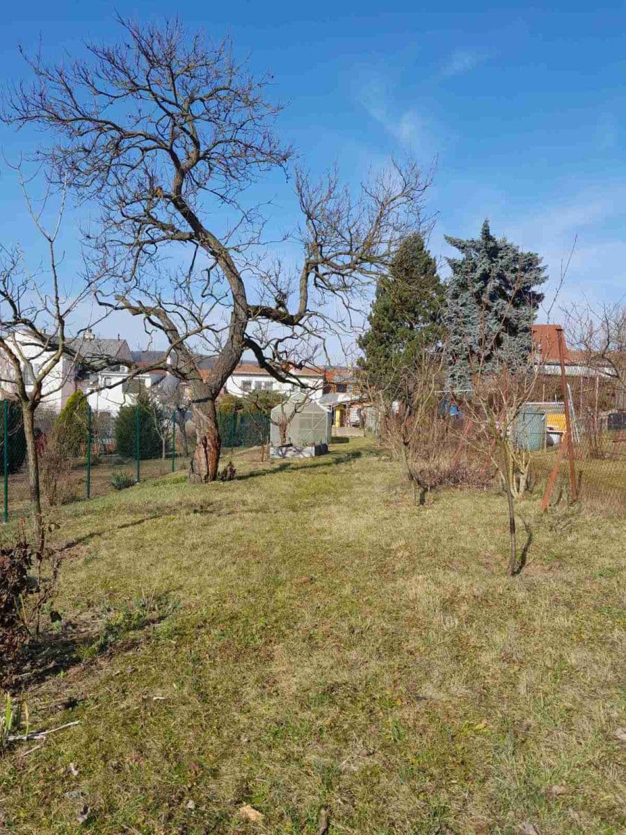 Predaj domu 115 m², pozemek 600 m², Kytnerova, Brno, Jihomoravský kraj Predaj domu 115 m², pozemek 600 m², Kytnerova, Brno, Jihomoravský kraj