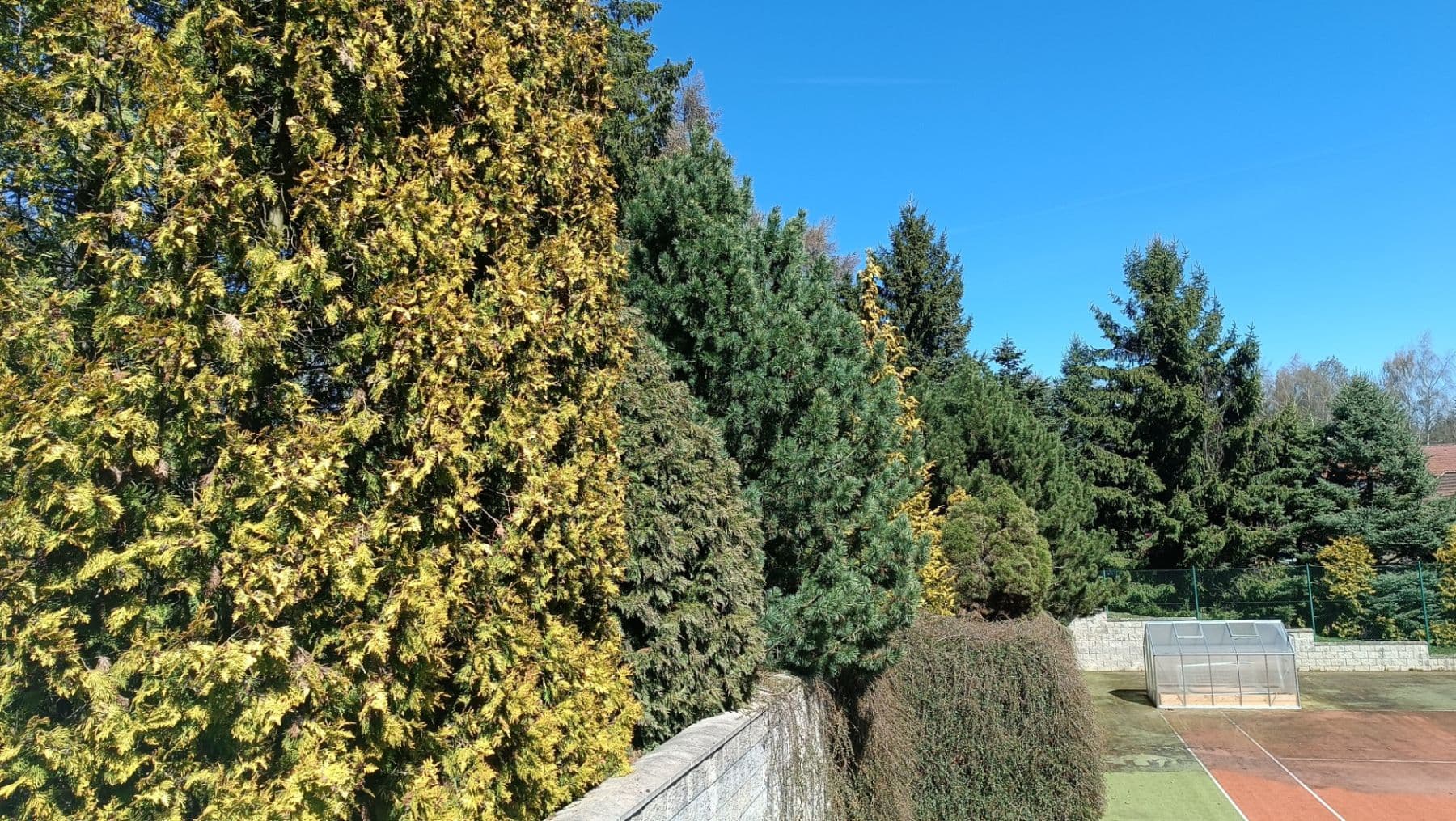 Predaj pozemku 1.615 m², Buřenice, Kraj Vysočina Predaj pozemku 1.615 m², Buřenice, Kraj Vysočina