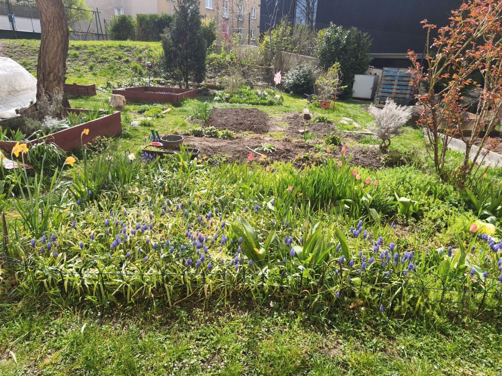 Predaj bytu 2-izbový 47 m², Mirošovická, Praha, Praha Predaj bytu 2-izbový 47 m², Mirošovická, Praha, Praha