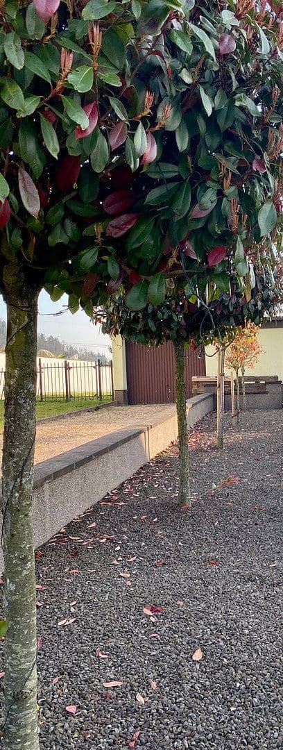 Prenájom bytu 4-izbový 105 m², Püttlingen, Sársko Prenájom bytu 4-izbový 105 m², Püttlingen, Sársko