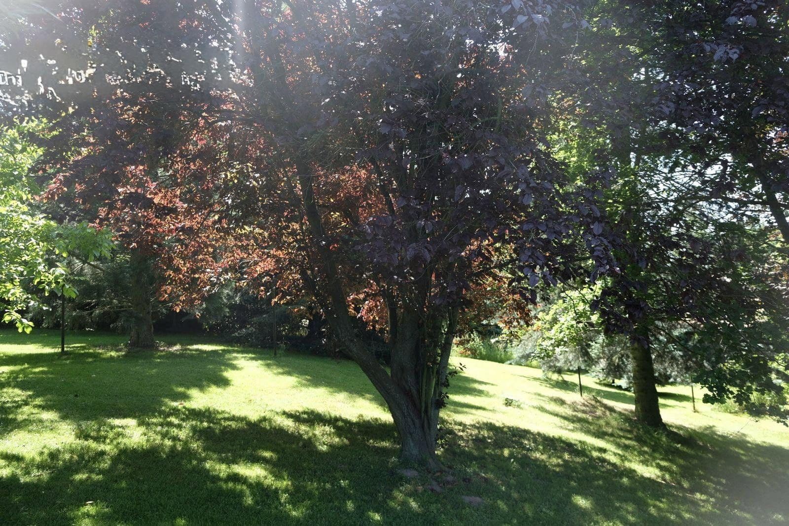 Predaj domu 242 m², pozemek 3.066 m², Claußnitz, Sasko Predaj domu 242 m², pozemek 3.066 m², Claußnitz, Sasko